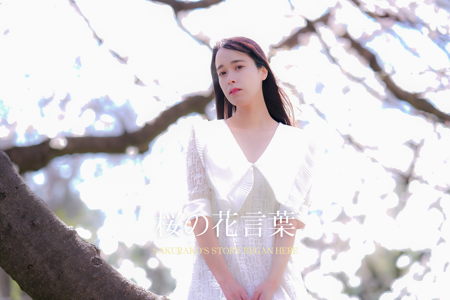 アレスト 櫻子